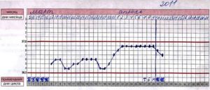 Температура 37 держится неделю при беременности