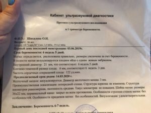 6 Недель беременности от последних месячных