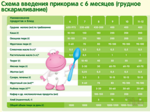 Прикорм ребенка как и с чего начинать