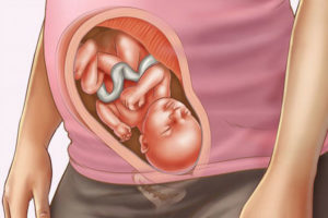 29 Неделя беременности мало шевелений