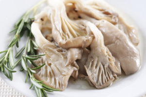 Кулинария грибы вешенки