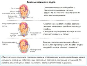 Признаки родов второй беременности 38 недель