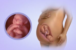 Молозиво на 39 неделе беременности