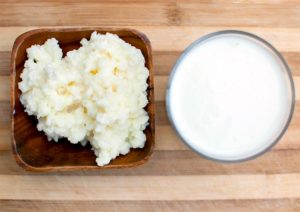 Как растить молочный гриб?