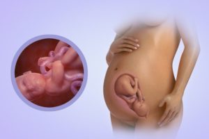 33 Недель частое мочеиспускание беременность