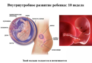 Давление на 10 неделе беременности