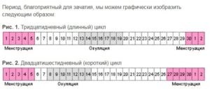 Как посчитать благоприятный день для зачатия?