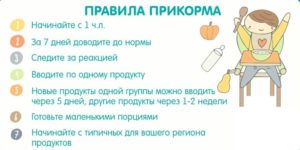 Как начинать прикармливать ребенка 6 месяцев?