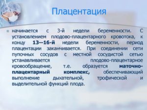 Низкая плацента беременности 15 недель