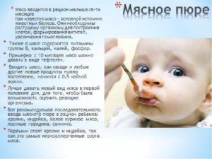 Прикорм мясной как вводить