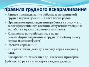 Правила кормления новорожденного грудным молоком