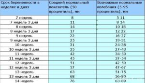 Ктр плода 13 недель норма