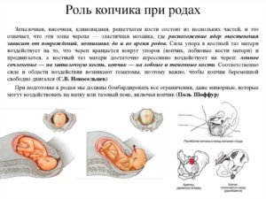 Беременность 19 недель болит копчик