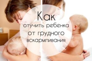 Как отучить младенца от груди?