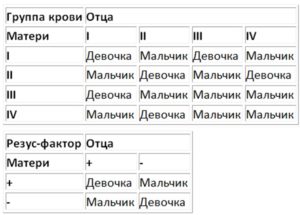 Как планировать мальчика по обновлению крови?