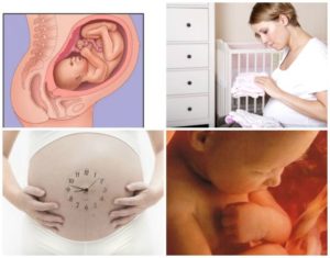 Беременность 38 39 недель признаки приближающихся родов