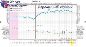 Температура на 5 неделе беременности