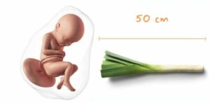 Предвестники родов на 34 неделе беременности