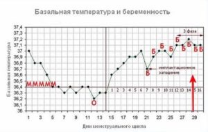 Температура 37 на 33 неделе беременности