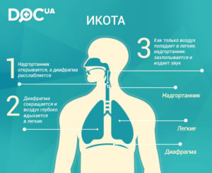 Что сделать чтобы у ребенка прошла икота?