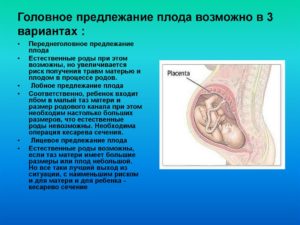 Головное предлежание плода на 23 неделе беременности