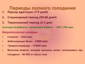 Как правильно голодать 21 день?