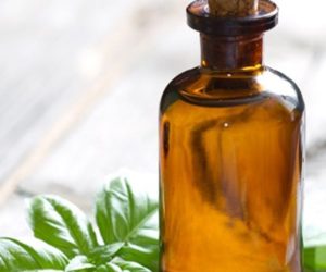 Масло базилика применение в косметологии