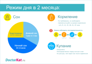 У кого какой режим в 2 месяца