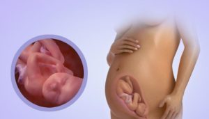Ребенок утробе 30 недель