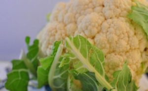 Можно ли кормящим мамам капусту?