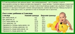 Во сколько месяцев новорожденные видят