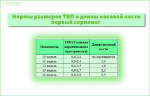 Нормы узи в 14 недель беременности