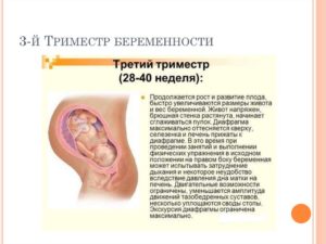 Опасные недели беременности в третьем триместре