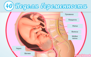 Как вызвать схватки на 41 неделе