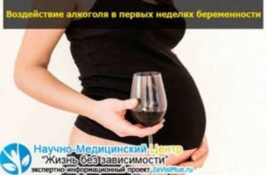 Алкоголь первые две недели беременности