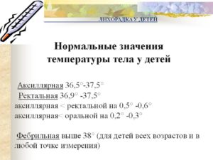 Температура у ребенка ректально норма