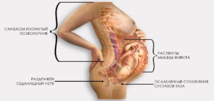 Беременность 19 недель болит копчик