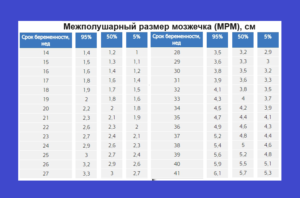 Мозжечок на 22 неделе беременности