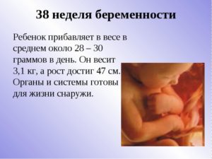 37 Недель беременности считается доношенной