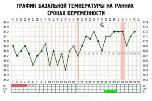 Температура 37 держится неделю при беременности