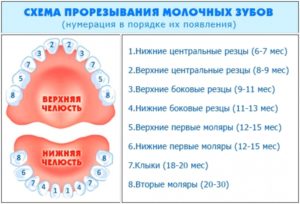 Во сколько лезут зубы у ребенка