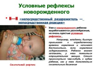 Безусловные и ранние условные рефлексы новорожденного