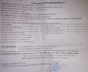 6 Недель беременности от последних месячных