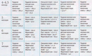Режим дня в 6 месяцев с прикормом