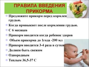 Почему вводят прикорм с 6 месяцев?