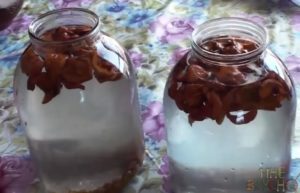 Березовый сок с изюмом в домашних условиях