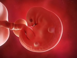 8 Неделя беременности от зачатия что происходит