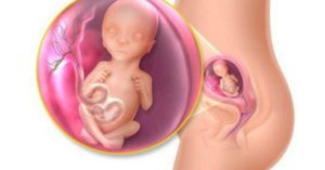 Покалывания животе 16 неделе беременности