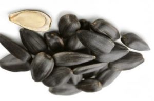 Можно ли есть семечки кормящим?