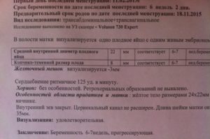 6 Недель беременности от последних месячных